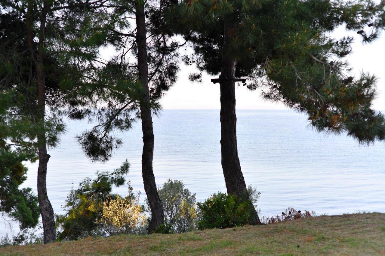 Summerday Villa Private Beach Nea Iraklia Dış mekan fotoğraf