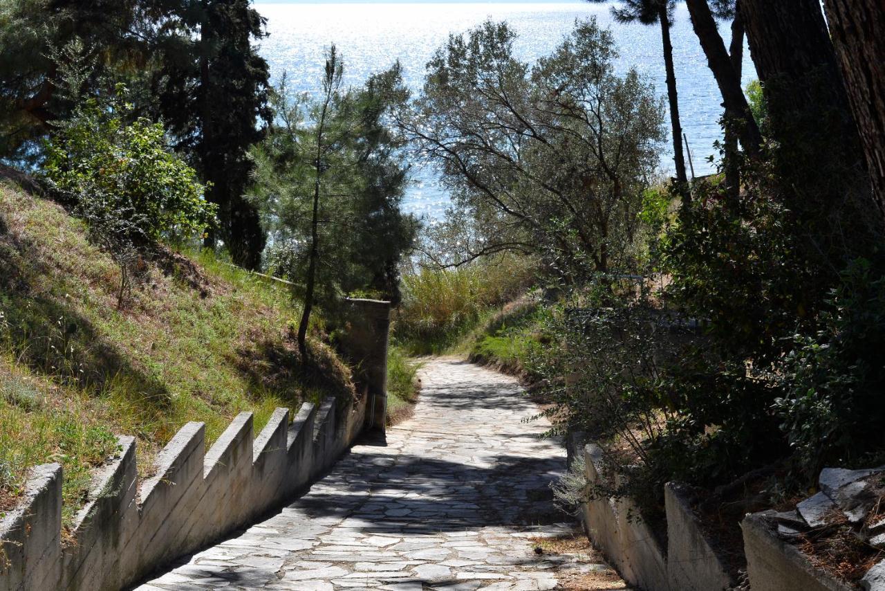 Summerday Villa Private Beach Nea Iraklia Dış mekan fotoğraf