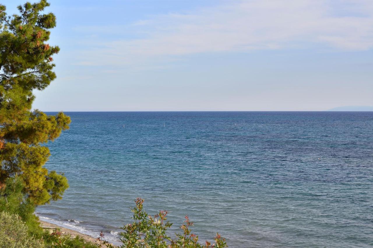 Summerday Villa Private Beach Nea Iraklia Dış mekan fotoğraf